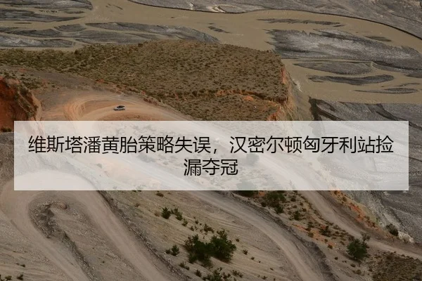维斯塔潘黄胎策略失误，汉密尔顿匈牙利站捡漏夺冠