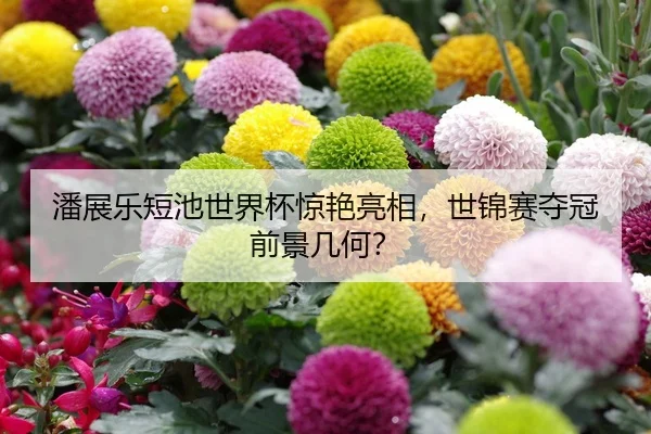 潘展乐短池世界杯惊艳亮相，世锦赛夺冠前景几何？