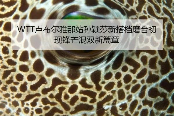 lu-bu-er-ya-na-zhan-sun-ying-sha-xin-da-dang-mo-he-chu-xian-feng-mang-hun-shuang-xin-pian-zhang-3-835.jpg